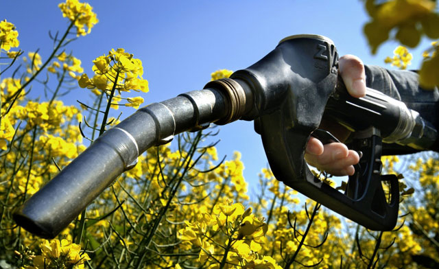 Lợi ích và hạn chế của biofuel