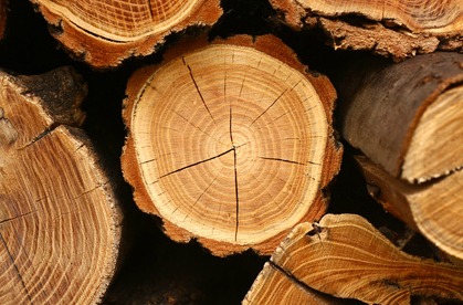 Điểm khác biệt giữa gỗ đốt và gỗ viên nén 1