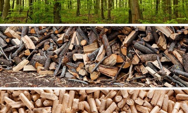 Viên nén gỗ loại bỏ hoàn toàn khí thải cacbon