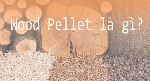 Wood pellet là gì?