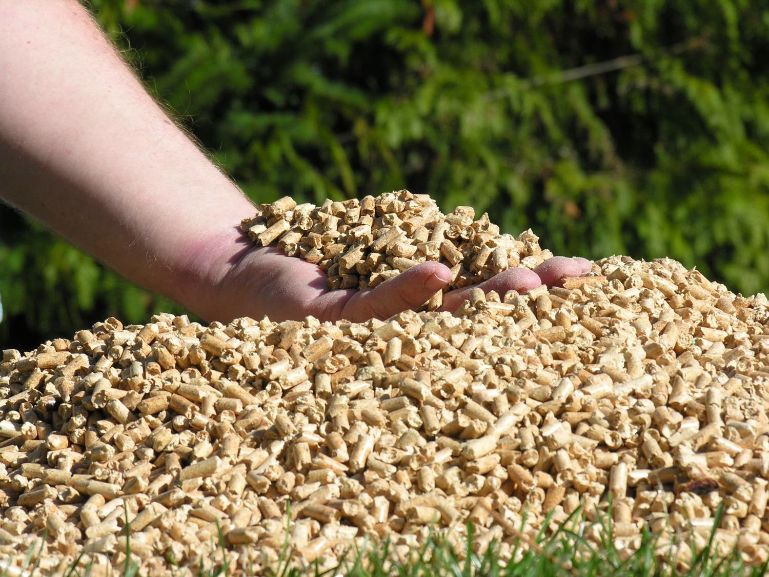 Mỹ Biomass mua lại Gỗ Viên thỏi từ Viridis